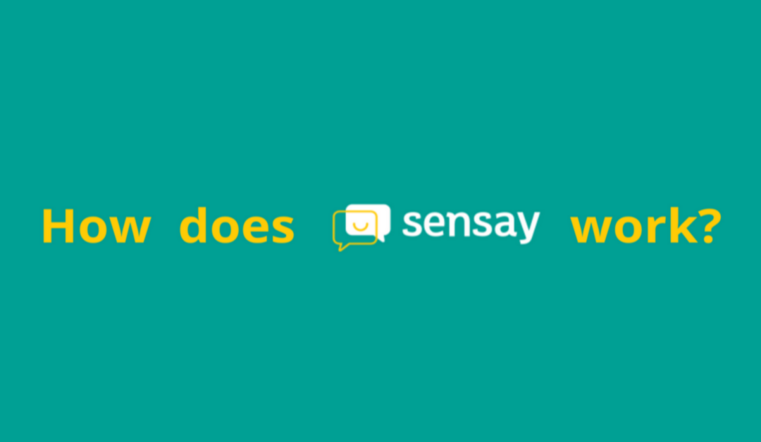 How does Sensay work?